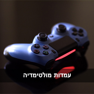 עמדות מולטימדיה פלייסטישן